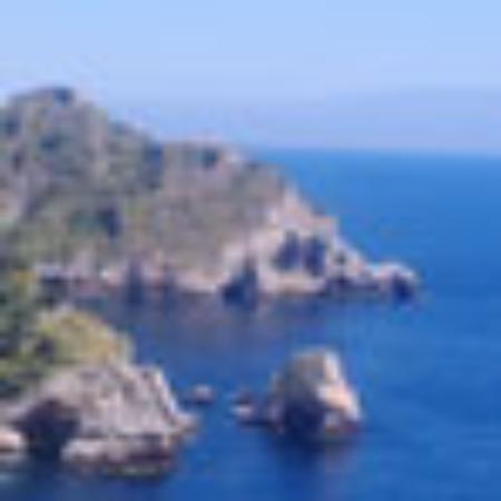 A Choice Restaurant-Big Juicy Goose